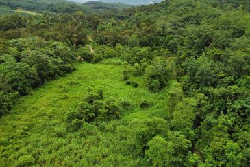 Kampung Sungai Pening
