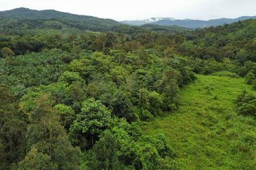 Kampung Sungai Pening
