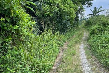 [FRONTING MAIN ROAD] Residential Potential Development Land Batu 29/30, Dengkil For Sale