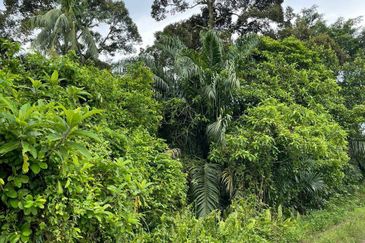 [FRONTING MAIN ROAD] Residential Potential Development Land Batu 29/30, Dengkil For Sale