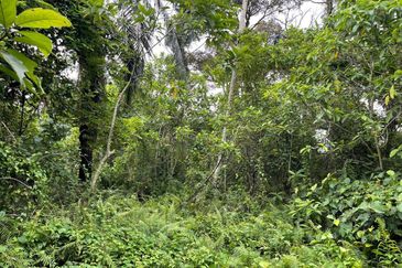 [FRONTING MAIN ROAD] Residential Potential Development Land Batu 29/30, Dengkil For Sale