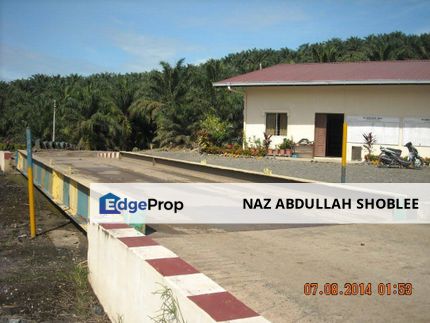 Palm Oil Estate Lahad Datu, Sabah For Sale, Sabah, Lahad Datu