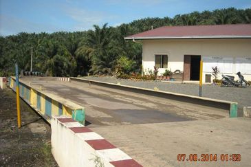 Palm Oil Estate Lahad Datu, Sabah For Sale