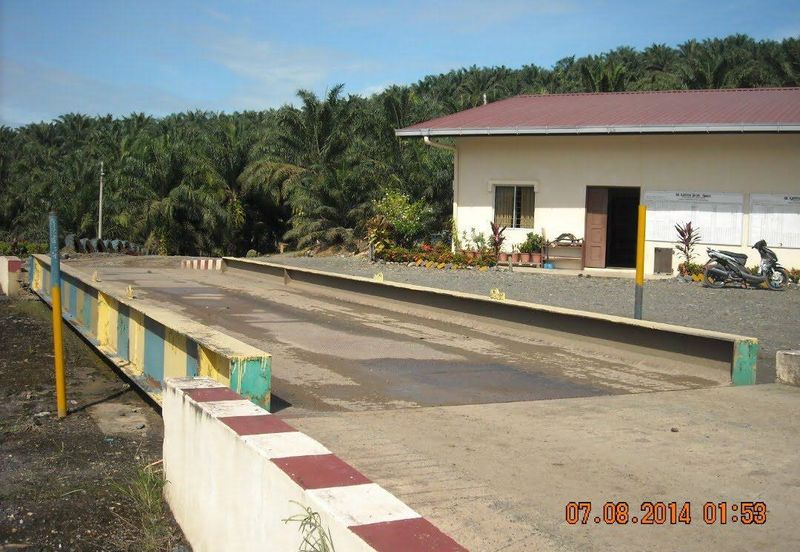 Palm Oil Estate Lahad Datu, Sabah For Sale