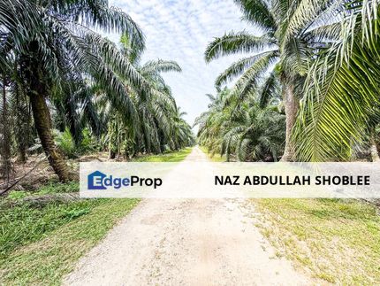 Agriculture Land Sungai Kelambu, Banting For Sale, Selangor, Banting