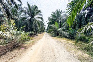 Agriculture Land Sungai Kelambu, Banting For Sale