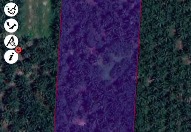 Agriculture Land Sungai Kelambu, Banting For Sale