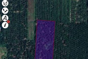 Agriculture Land Sungai Kelambu, Banting For Sale