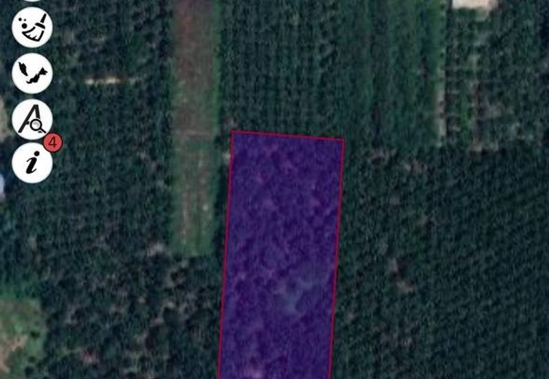 Agriculture Land Sungai Kelambu, Banting For Sale