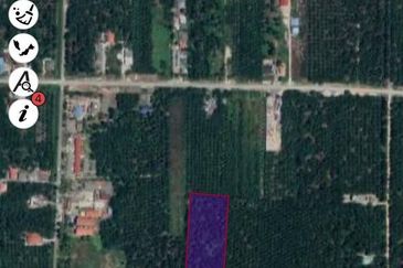 Agriculture Land Sungai Kelambu, Banting For Sale