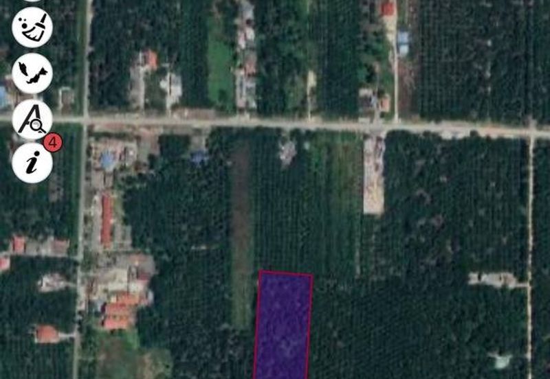 Agriculture Land Sungai Kelambu, Banting For Sale