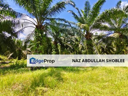 Residential Potential Development Land Panchang Bedena, Sabak Bernam For Sale, Selangor, Sabak Bernam