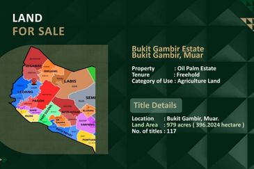 Palm Oil Plantation Bukit Gambir, Muar For Sale