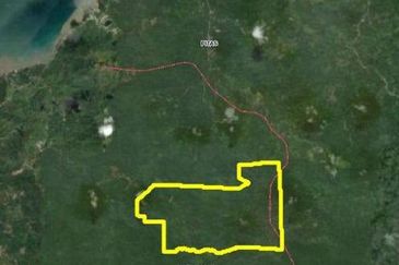 Palm Oil Plantation Kota Marudu, Sabah For Sale