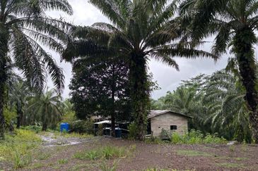 Palm Oil Plantation Kota Marudu, Sabah For Sale