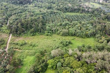 Kampung Sungai Pening