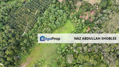 Residential Potential Development Land Sungai Pening, Semenyih For Sale, Selangor, Semenyih