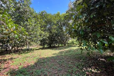 [BESIDE MAIN ROAD] Agriculture Land with 2 Storey Bungalow at Batu 15, Hulu Langat For Sale