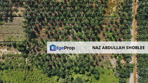[FRONTING ROAD] Agriculture Land Kampung Ijok, Bestari Jaya For Sale, Selangor, Batang Berjuntai