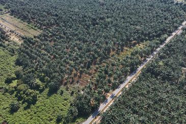 [FRONTING ROAD] Agriculture Land Kampung Ijok, Bestari Jaya For Sale