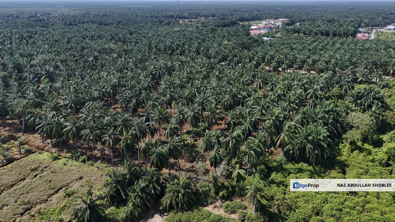 [FRONTING ROAD] Agriculture Land Kampung Ijok, Bestari Jaya For Sale, Selangor, Batang Berjuntai