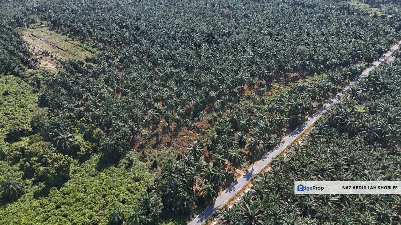 [FRONTING ROAD] Agriculture Land Kampung Ijok, Bestari Jaya For Sale, Selangor, Batang Berjuntai