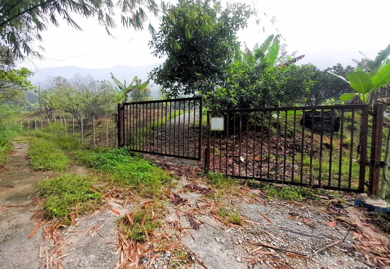 Agriculture Land Sungai Meru, Ipoh For Sale