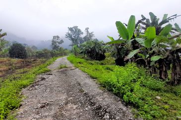 Agriculture Land Sungai Meru, Ipoh For Sale