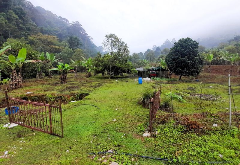 Agriculture Land Sungai Meru, Ipoh For Sale