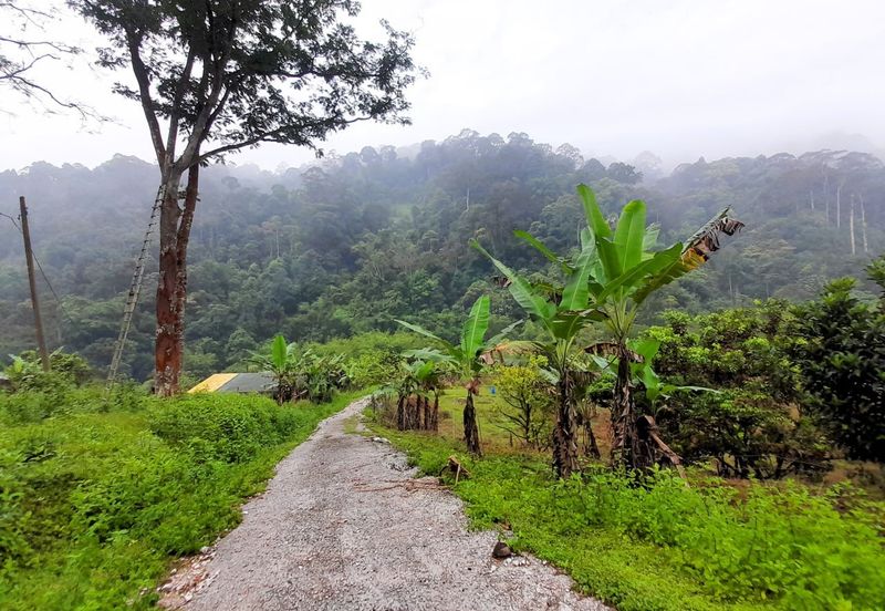 Agriculture Land Sungai Meru, Ipoh For Sale