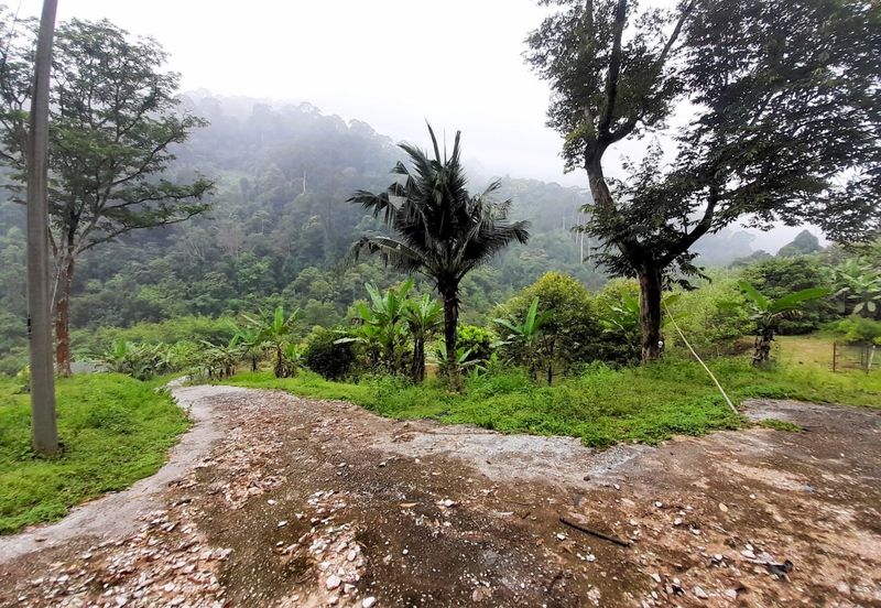 Agriculture Land Sungai Meru, Ipoh For Sale