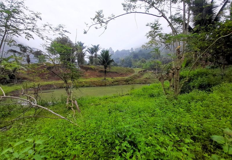 Agriculture Land Sungai Meru, Ipoh For Sale