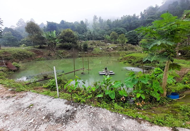 Agriculture Land Sungai Meru, Ipoh For Sale