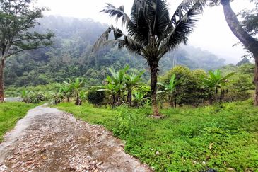 Agriculture Land Sungai Meru, Ipoh For Sale