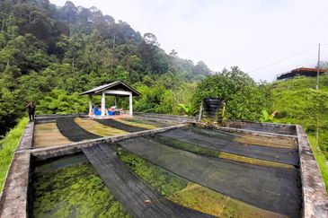 Agriculture Land Sungai Meru, Ipoh For Sale