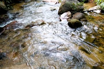 Agriculture Land Sungai Meru, Ipoh For Sale