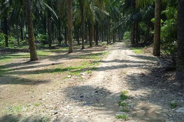 [BESIDE HIGHWAY] Residential Potential Development Land Kampung Sungai Buah, Dengkil For Sale