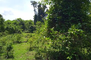 [BESIDE HIGHWAY] Residential Potential Development Land Kampung Sungai Buah, Dengkil For Sale