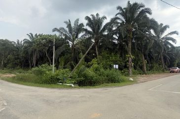 Jalan Bukit Cherakah