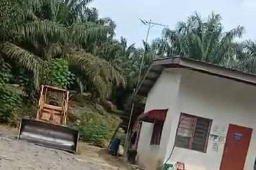 Oil Palm Plantation Muadzam Shah, Rompin For Sale