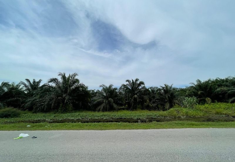 Bandar Saujana Putra