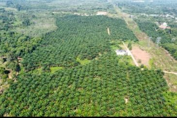 Agriculture Land Karak, Pahang For Sale