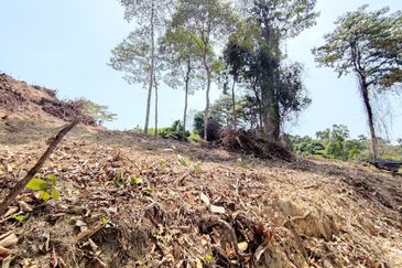 [FACING ROAD] Residential Potential Development Land Jalan Jenderam - Salak Tinggi, Sepang For Sale