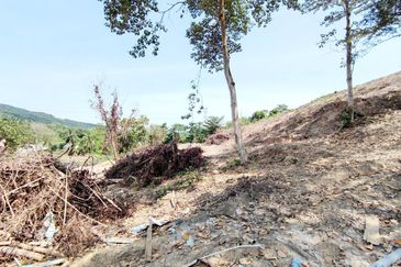 [FACING ROAD] Residential Potential Development Land Jalan Jenderam - Salak Tinggi, Sepang For Sale