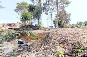 [FACING ROAD] Residential Potential Development Land Jalan Jenderam - Salak Tinggi, Sepang For Sale