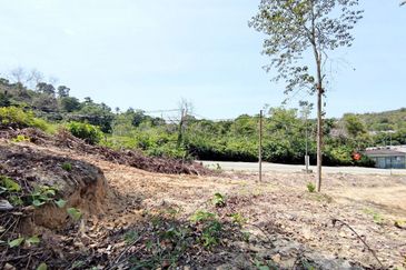 [FACING ROAD] Residential Potential Development Land Jalan Jenderam - Salak Tinggi, Sepang For Sale