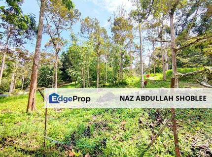 Resort Potential Development Land Janda Baik, Bentong, Pahang For Sale, Pahang, Bentong