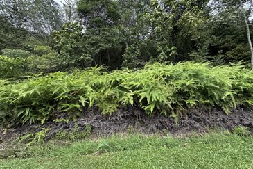 [FRONTAGE MAIN ROAD] Residential Potential Development Land Pantai, Seremban For Sale