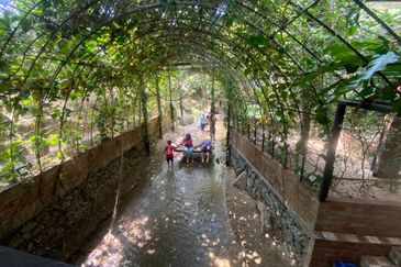 [FACING HIGHWAY] Agriculture Land Bentong, Pahang For Sale