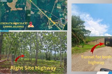 Agriculture Land Yong Peng, Johor For Sale